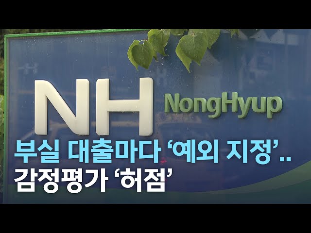 부실 대출마다 '예외 지정'..감정평가 '허점'