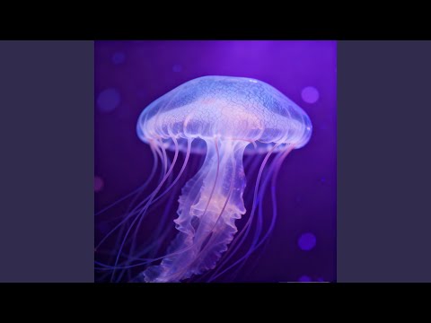 Voices of the Fallen