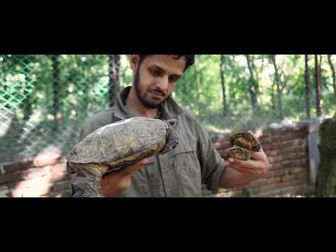 Shahriar Caesar Rahman, Bangladesh - Whitley Awards 2018