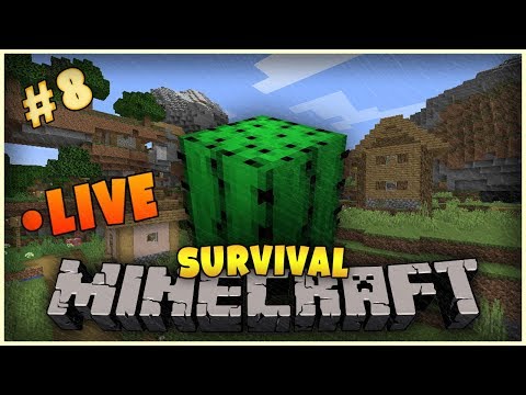 Minecraft ITA - Survival - #8 Primo villaggio della 1.14 più Raid