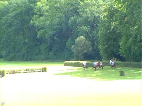 NE, 20. 8. 2017, 4. dostih - CENA VÁCLAVA SMOLÍKA