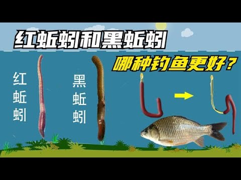 蚯蚓粉