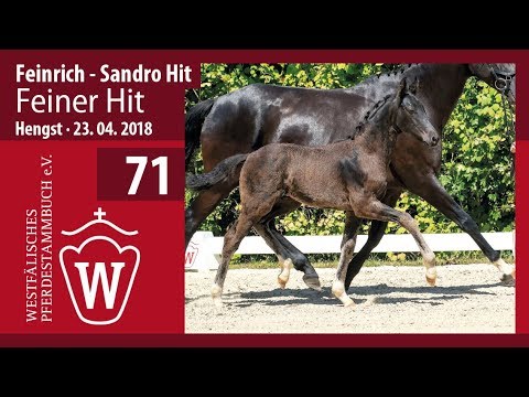 071 Feiner Hit HF v. Feinrich - Sandro Hit