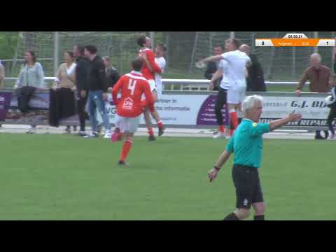 Samenvatting SVAngeren - SCE