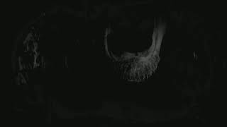 Download lagu MOUTHLESS ' Mantra Si Anjing Tua ' mp3