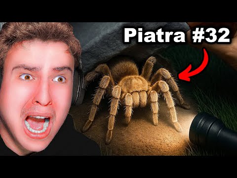 CE INSECTE SE AFLĂ NOAPTEA SUB PIETRE??