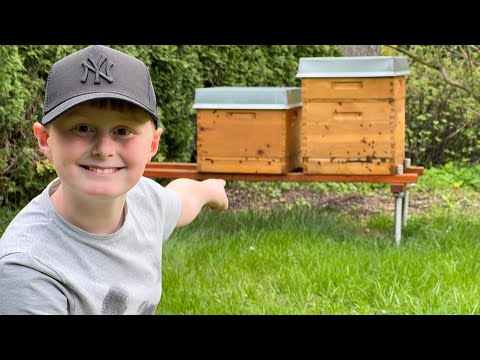 Aus eins mach zwei – Wir vermehren unser Bienen-Volk!