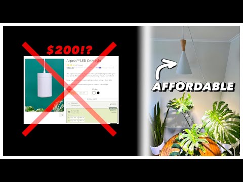 Are Soltech Lights OVERPRICED? Try THIS $28 Game-Changer!