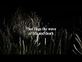 Mike Reid & Joe Henry - Weather Rose (Official Lyric Video)
