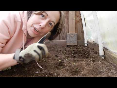 How do you say Fiacre?  Our Farm Tour