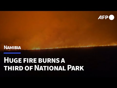 Massive fire burns a third of Namibia's Etosha National Park | AFP