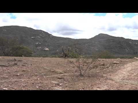 Serra de São Bernardo - Caico - Volta, porteira
