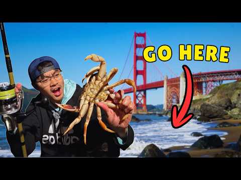 3 Days Dungeness Crabbing on FAMOUS San Francisco Beaches | Catch and Cook | VLOG