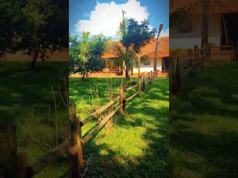 💎 Tecnologia no Agro: Fazenda de 388ha em Campina Verde/MG!