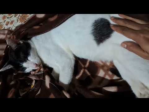 Bristi hoyeche r paglu Kantha Muri diye ghum......