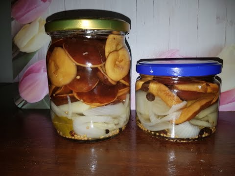 GRZYBY MARYNOWANE TRADYCYJNY PRZEPIS NA ZALEWĘ