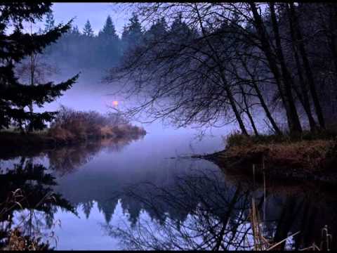 Wedard - Venus in Winter Dusk feat. "Dump"