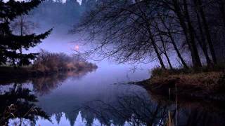 Wedard - Venus in Winter Dusk feat. &quot;Dump&quot;