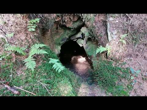 Altbergbau: Stollen 8 im Süd-Revier Prinzenkogel