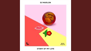Download lagu Story Of My Life mp3