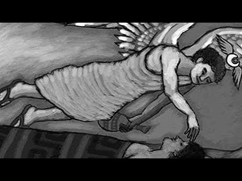 2T4 - TO MORFEUSZ (2T4.PL)