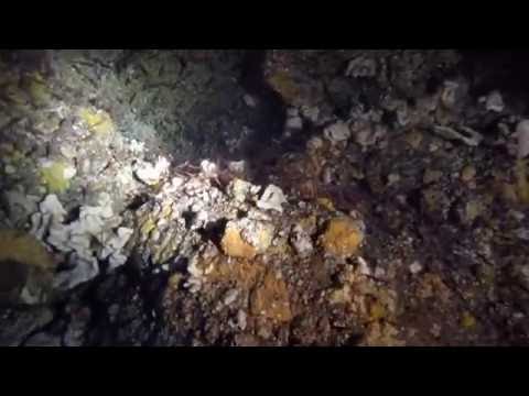 Ustica island "Grotta dei gamberi"