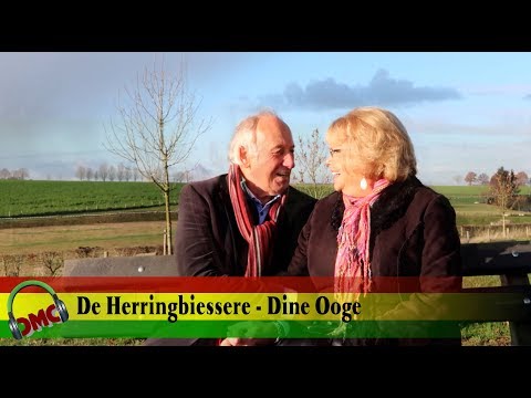 De Herringbiessere - Dieng Ooge!! ( CMC ALaif 2019 )
