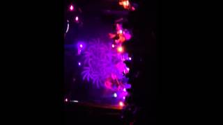 Alberta Cross - Magnolia - Live From Bowery Ballroom
