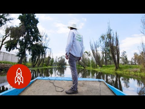 メキシコの浮体農園を存続させるために闘う (Fighting to Keep Mexico's Floating Farms Alive)