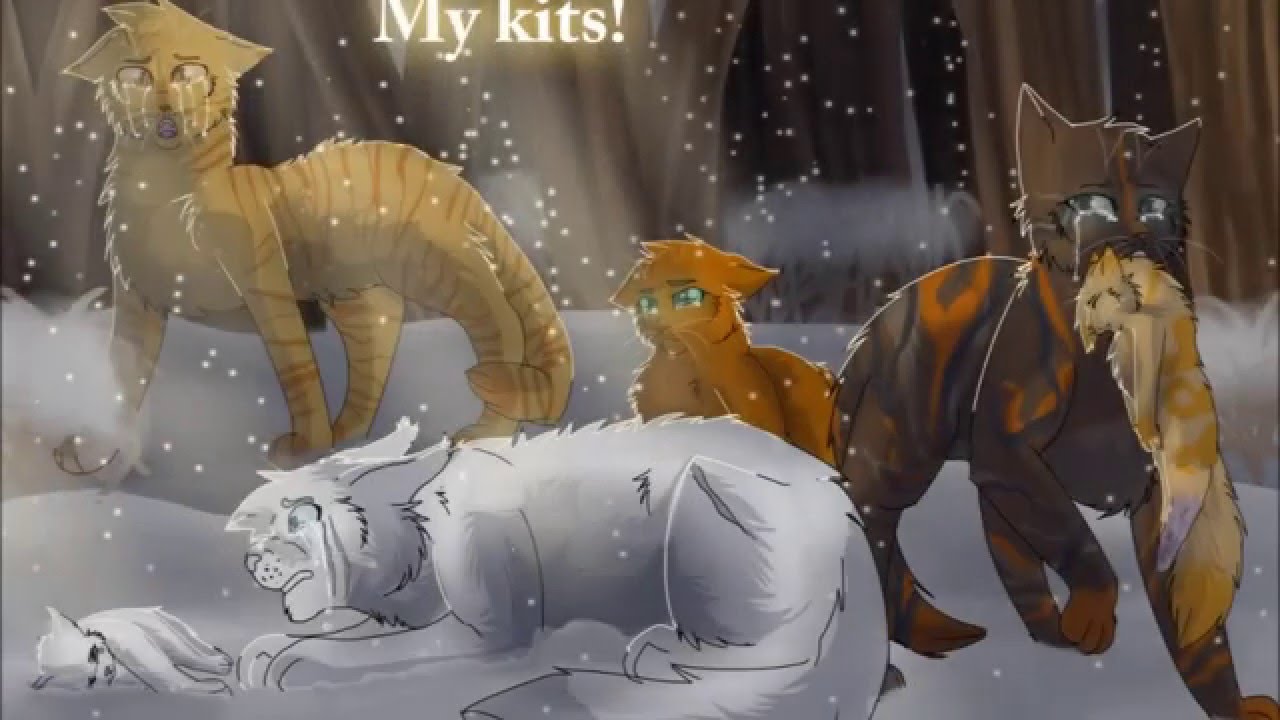 My Kits! (Warrior Cat OC Speedpaint)
