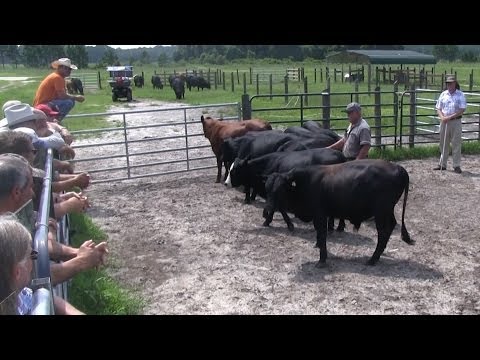 Sustainable Ranching, Day 1 Part 1