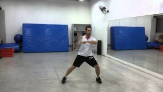 Kung Fu - Estilo Serpente