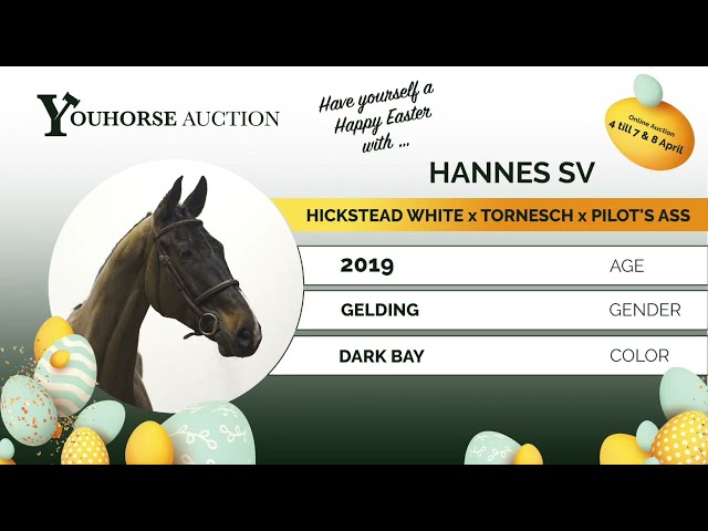 Hannes showvideo outdoor