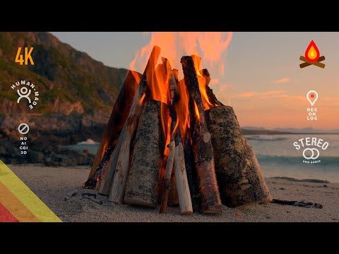 Sunset beach deadwood 🪵🔥 CAMPFIRE in the Arctic (12 hours)