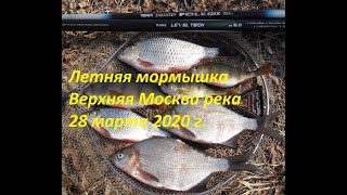 Ссылка
