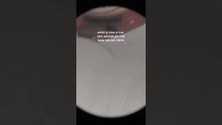 Download lagu STORY WA TERBARU 15 DETIK || STATUS WA SINGKAT DJ KEREN mp3