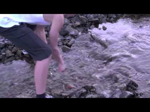 The Circle of Pain - Sagavoll 2011/2012