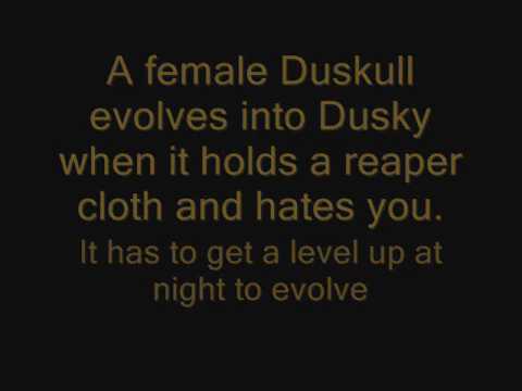 Female Evolution of Duskull