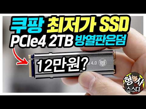 PCIe4 SSD 2TB에 12만원? 방열판서비스? fanxiang S660