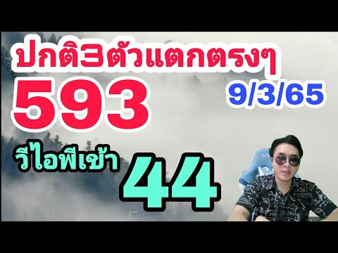 เลข ชุด หวย หุ้น เข้า ทุก วัน