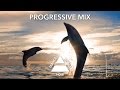 Aurosonic & Frainbreeze and Katty Heath-All I ...