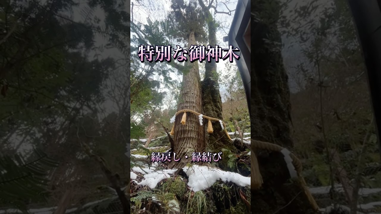 ご縁の流れが変わる時に現れます。縁戻し・縁結び