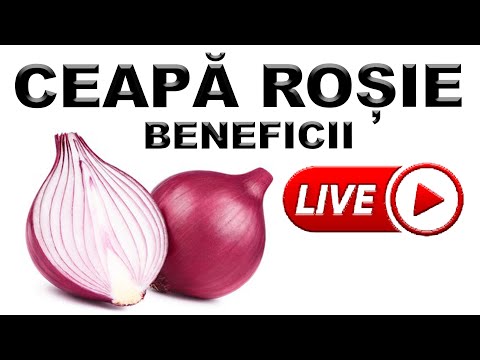 , title : 'Ceapă roșie beneficii 💚 Ce se întâmplă daca mănânci ceapa rosie 8 beneficii pentru sănătate LEACURI'