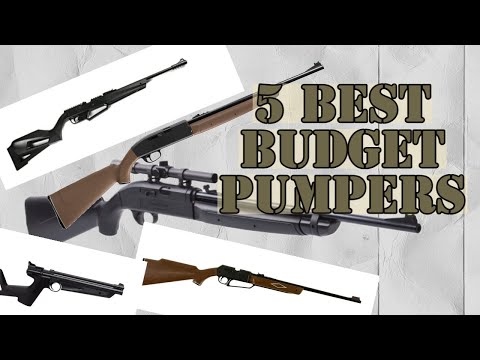 5 Best Budget Multi-Pump Air Rifles Under $100