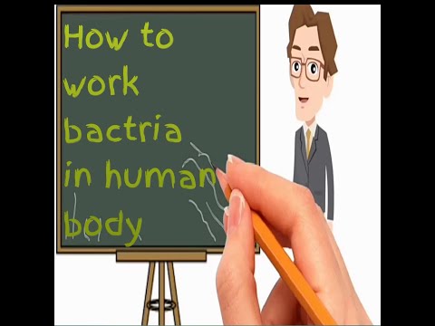 How Bacteria Rule Over Your Body_Animation_Video