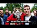 I Hope You Crash Head First Into A Bus Full Of R Tarded Children For The Chinese Enjoyers