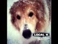 Local H - Waves - Track 01