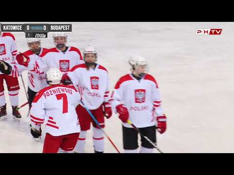 Silesian Metropolis Katowice - KMH Budapest 1:3