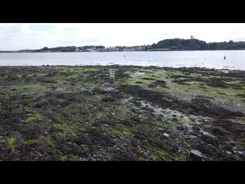 Portaferry to Strangford