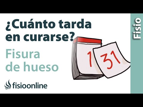 Cuánto tarda en curarse una FISURA DE HUESO